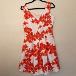 Fit and flare dress.